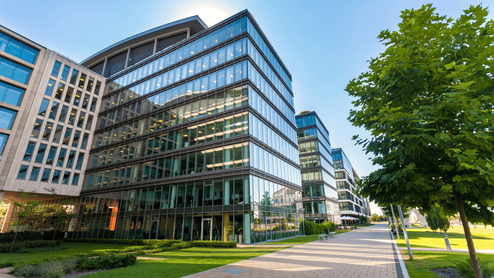 Commercial Litigation Appeals