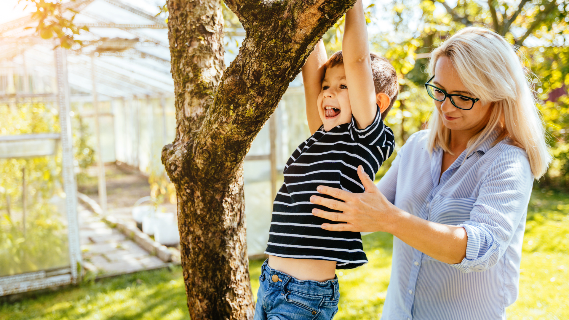 Guardianship and conservatorship planning