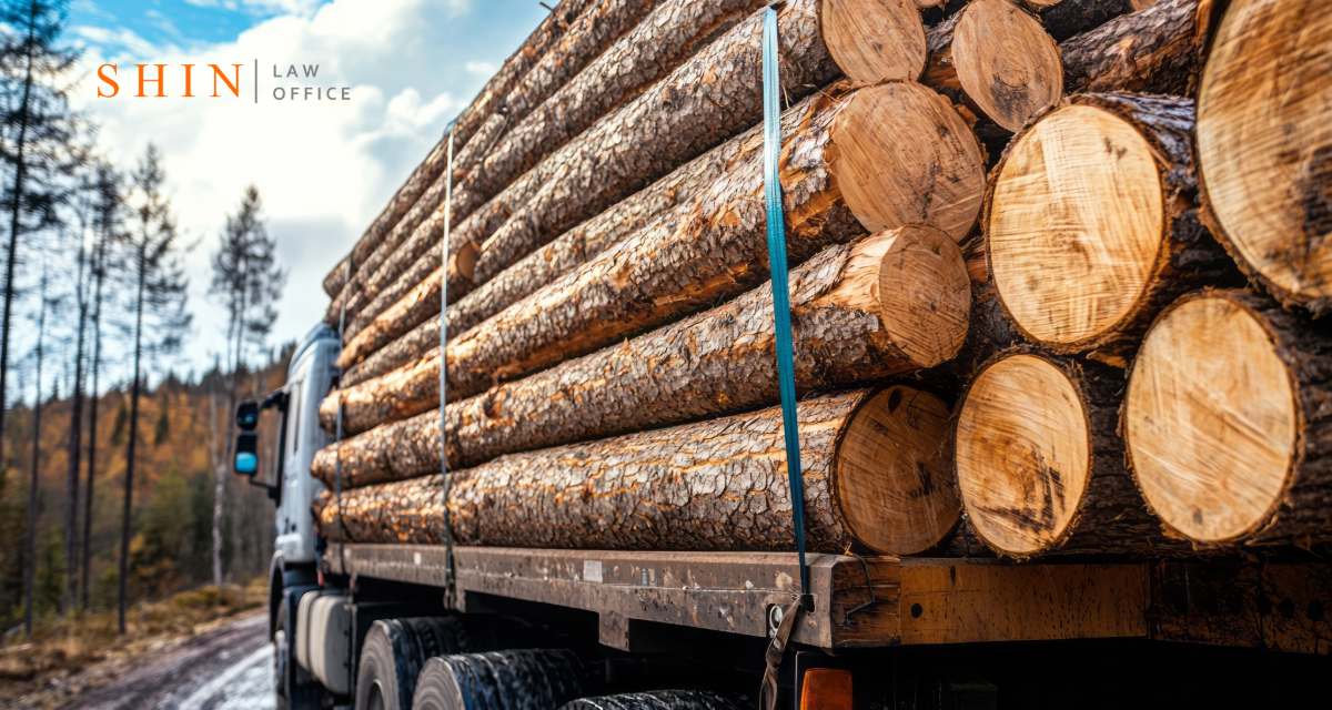Logging and Forest Management Conflicts in Grayson County: When Civil Claims Are Needed