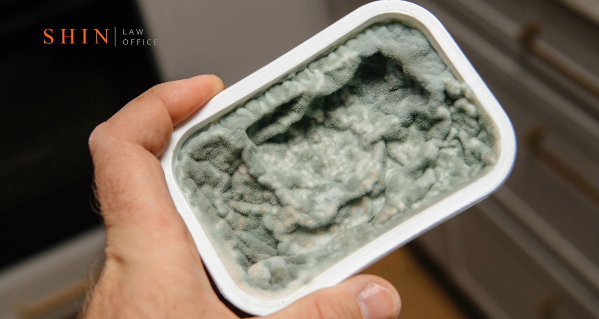 Mold Exposure in New Developments: Suing Builders in Loudoun County
