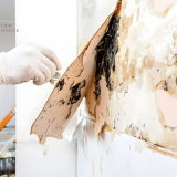 toxic mold attorney Northern Virginia, mold lawsuit apartment Northern Virginia, workplace mold exposure Virginia, office mold legal help VA, mold in rental unit Loudoun County, black mold lawyer Fairfax VA, mold health effects Virginia, landlord mold negligence VA, mold litigation Northern Virginia, attorney for mold damage Virginia, mold illness lawsuit VA, mold in office symptoms Virginia, mold exposure lawyer Prince William County, Northern Virginia mold dispute attorney, mold remediation legal rights VA