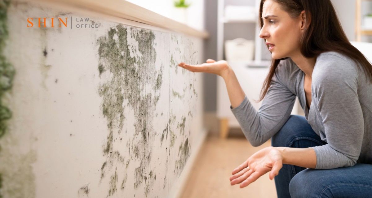 Can You Sue for Mold Damage in Fairfax Homes or Workplaces?