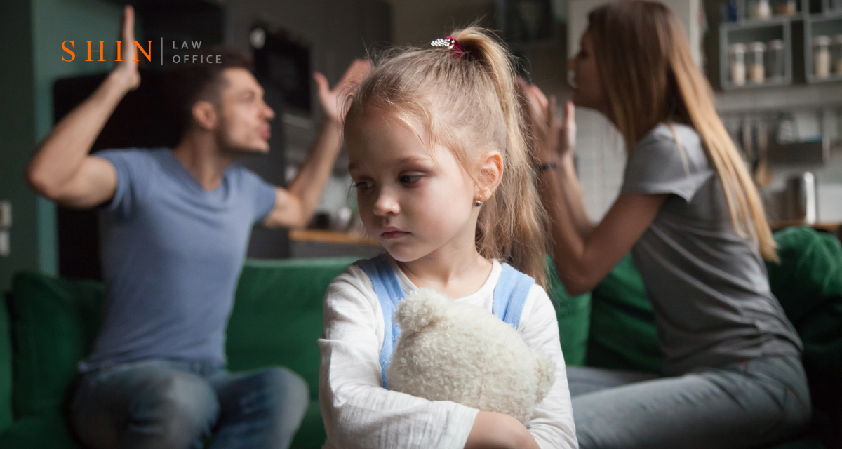 Custody Chaos and Protective Orders: The Weaponization of Fear in Loudoun County Family Court