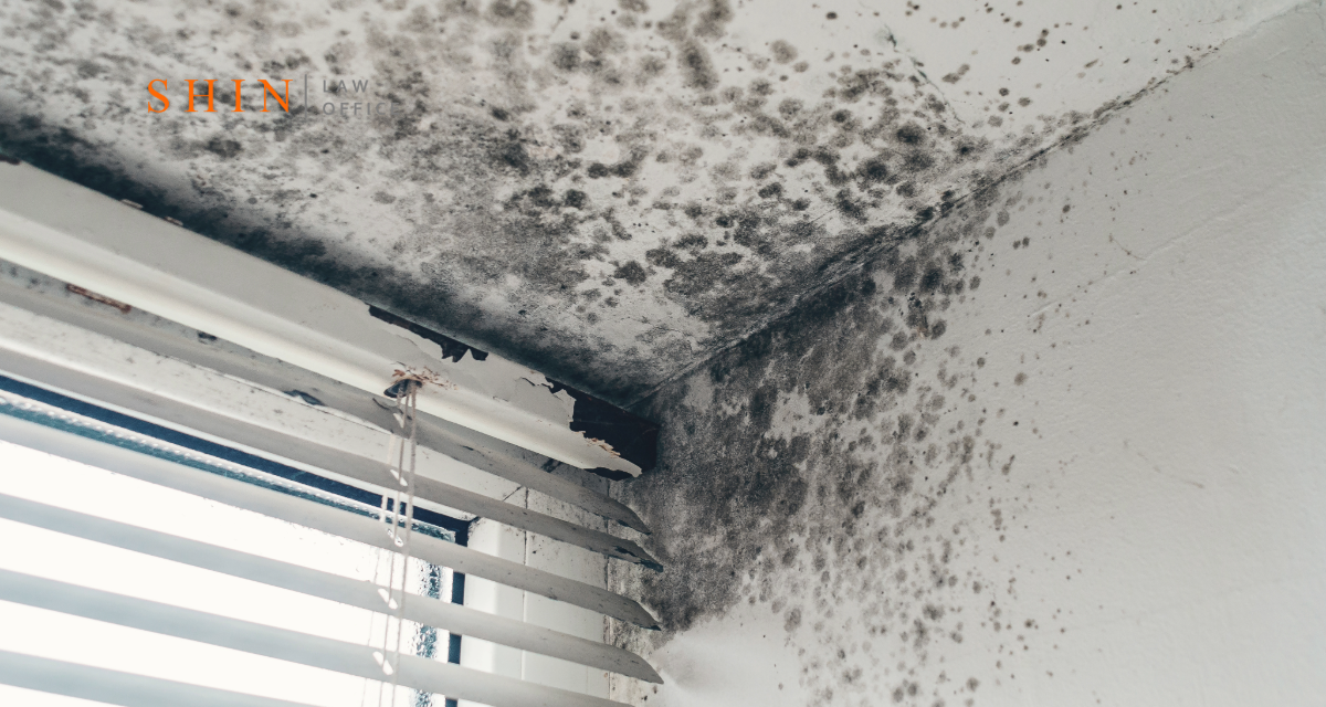 Woodbridge: Toxic Mold in Apartment Complexes, Who Is Responsible?