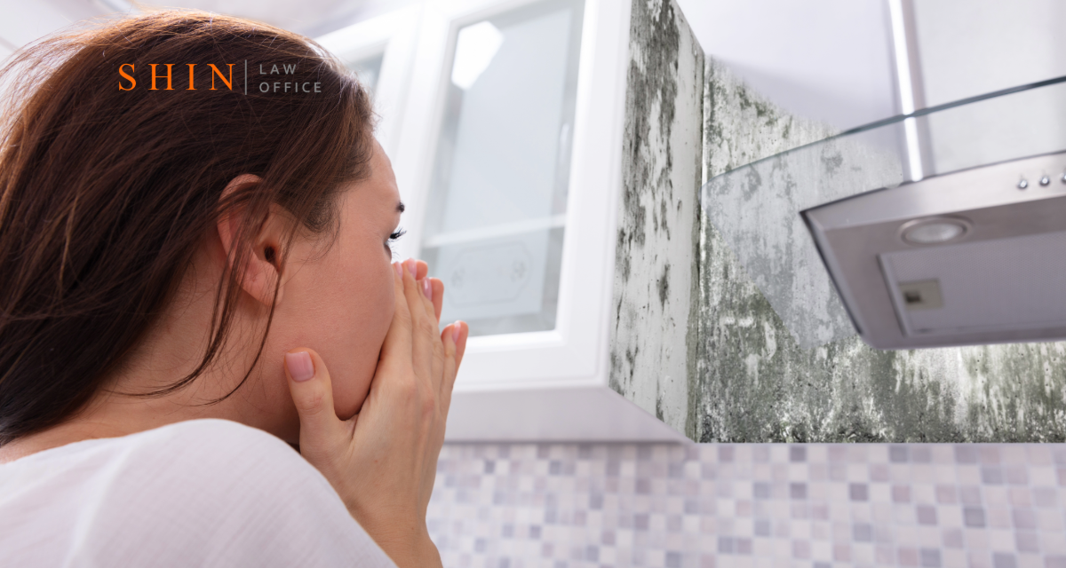 Dumfries: Toxic Mold in Military Housing – Protecting Service Members and Families