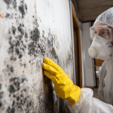 mold exposure Ballston VA, workplace mold attorney Arlington County, employer liability mold illness Ballston Virginia, OSHA mold violations Arlington VA, toxic mold lawyer Ballston office buildings, employee rights mold exposure VA, commercial property mold attorney Ballston VA, office air quality mold Arlington Virginia, toxic tort attorney Arlington VA, workplace safety mold Ballston