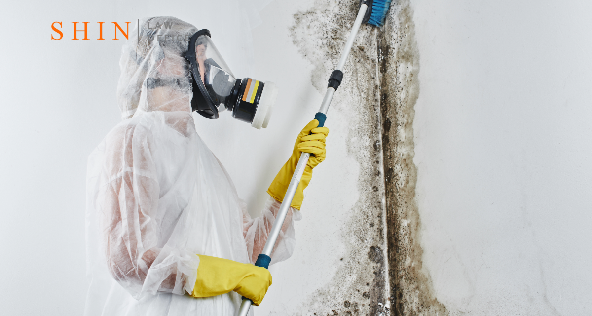 Crystal City Condos and Office Buildings: Hidden Mold Risks in HVAC and Ventilation Systems