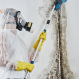 mold exposure Crystal City VA, toxic mold attorney Arlington County, HVAC mold contamination Crystal City, building ventilation mold Crystal City Virginia, office building mold lawyer Arlington VA, condo mold claim Crystal City VA, air duct mold exposure Northern Virginia, poor air filtration mold Crystal City, rooftop leak mold contamination VA, toxic tort attorney Crystal City Virginia