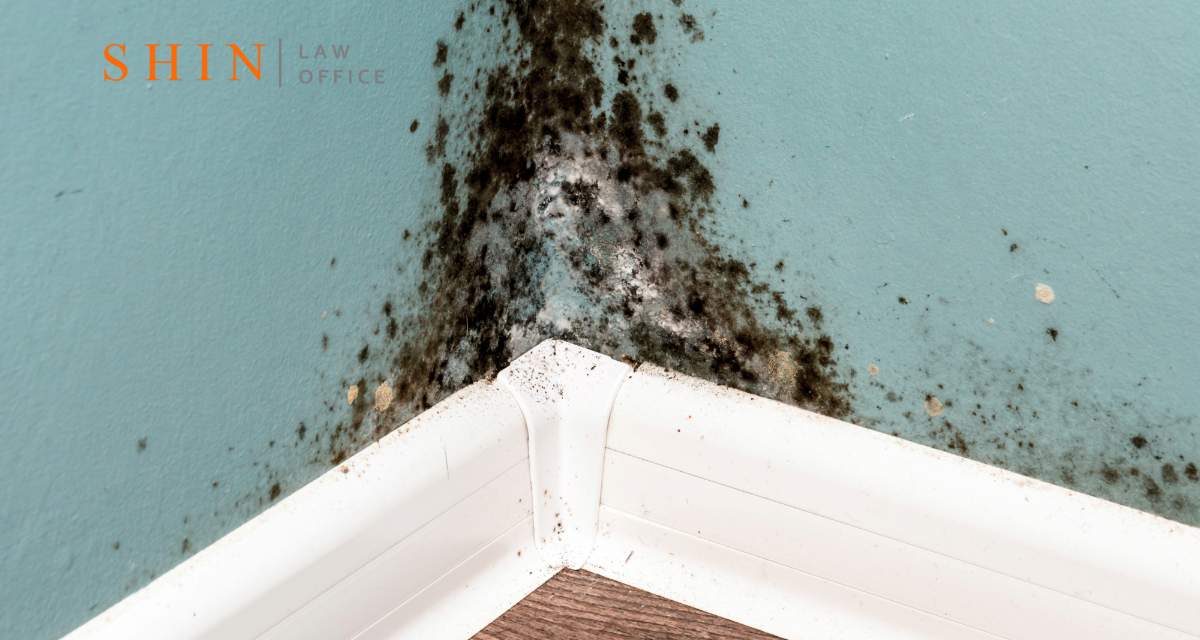 Woodbridge Homeowners: Toxic Mold Claims Against Builders for Faulty Drainage and Construction Defects