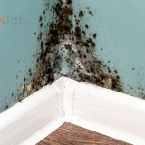 mold lawyer Woodbridge VA, builder negligence mold claim Woodbridge Virginia, construction defect attorney Prince William County, toxic mold litigation Woodbridge VA, faulty drainage mold Woodbridge Virginia, waterproofing failure attorney VA, defective building materials mold claim Woodbridge, home builder liability Arlington and Prince William, mold exposure lawyer Northern Virginia, toxic tort attorney Woodbridge Virginia