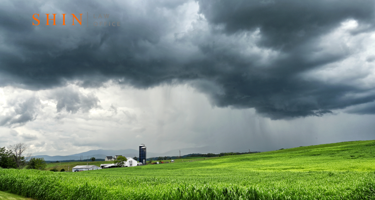 Nokesville Rural High Speed Crash Claims