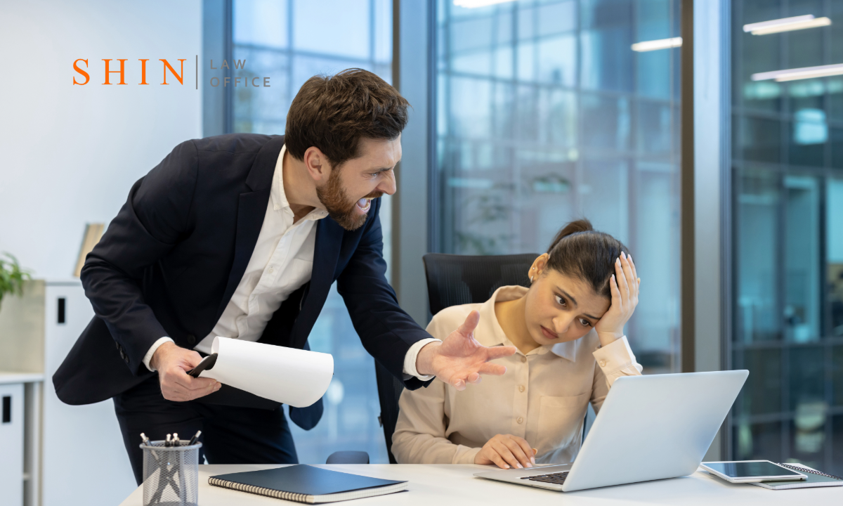 Loudoun County workplace protective order, Ashburn corporate harassment attorney, Sterling employment threats court order, Leesburg business dispute protective order, Loudoun County professional retaliation protection