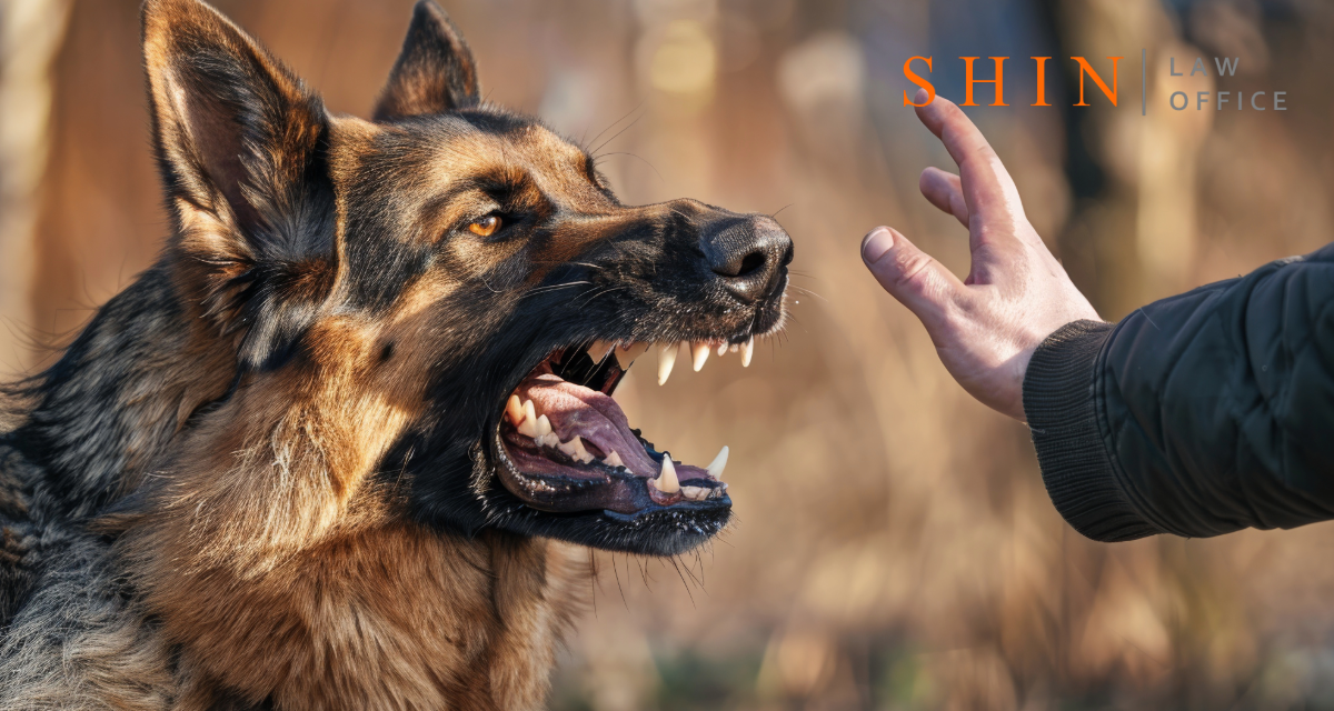 Dog Bites in Northern Virginia – Your Guide to Legal Rights and Recovery