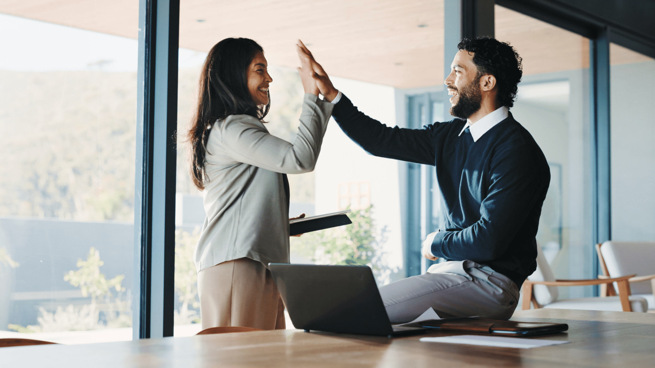 Summary Judgment and Dismissal Appeals