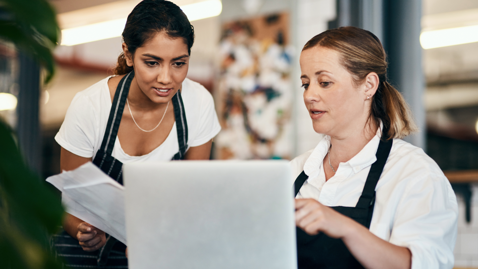 Franchise transfers, renewals and exits lawyer in Northern Virginia | Shin Law Office